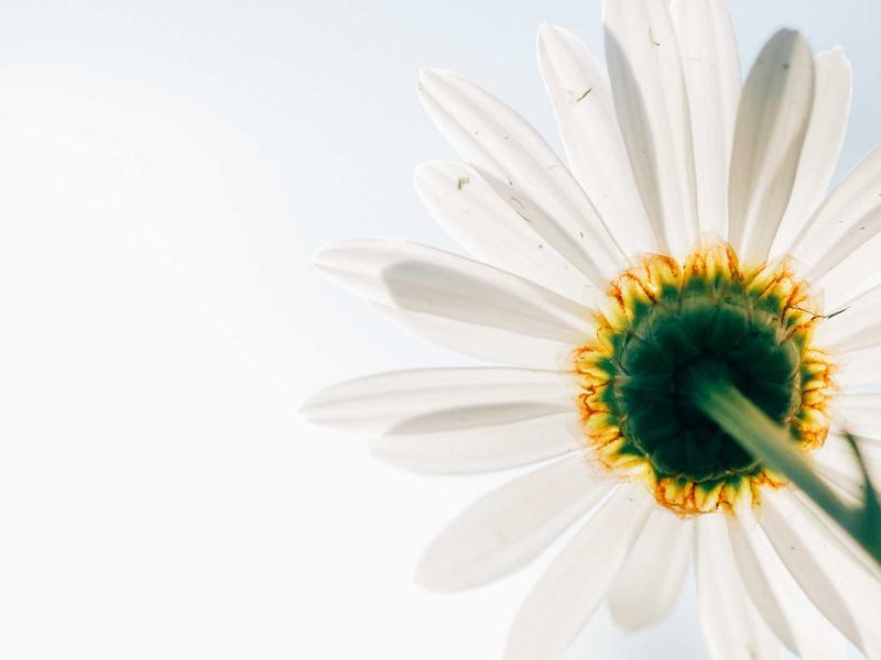 Unique realistic visual graphics for Benefits of an All-in-One ERP Solution